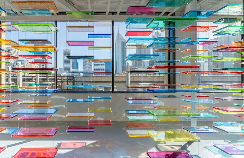 Paola Pivi. Libertad, color y desconcierto