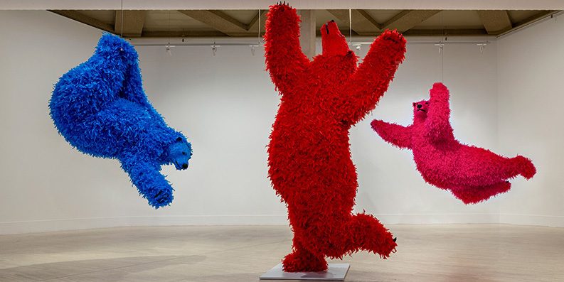 Paola Pivi. Libertad, color y desconcierto