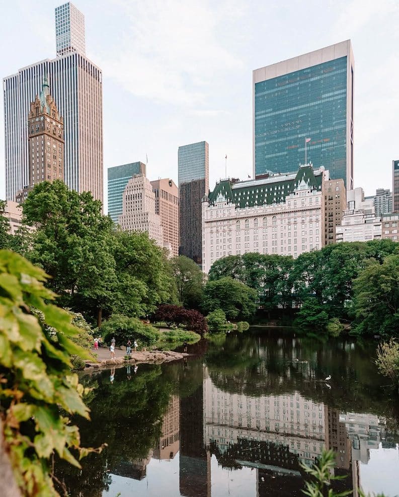 Plaza Hotel y la magia de Mi pobre angelito 2