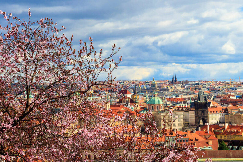 Praga en primavera. Cómo la viven los locales: mercados, cafés y atardeceres con vista al castillo