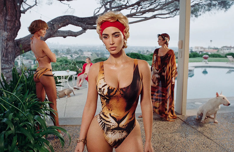 Skims x Roberto Cavalli