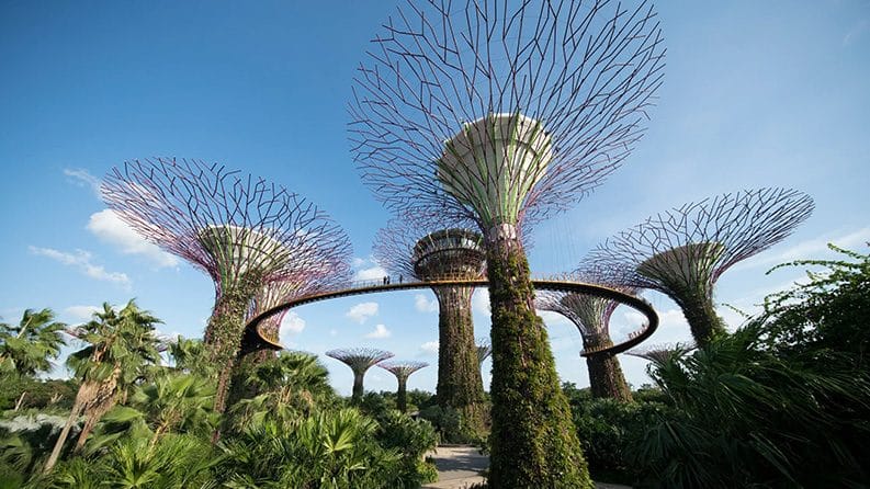 La importancia de la arquitectura sustentable