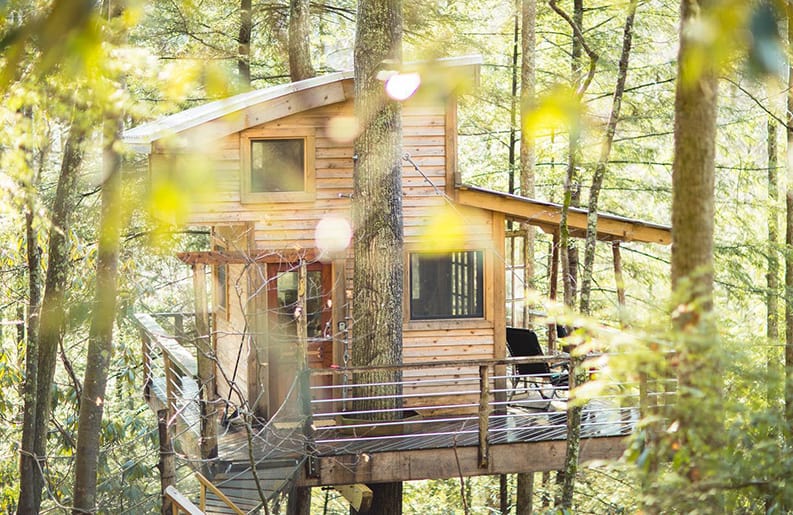 Casa del árbol Canopy Crew Sustentable