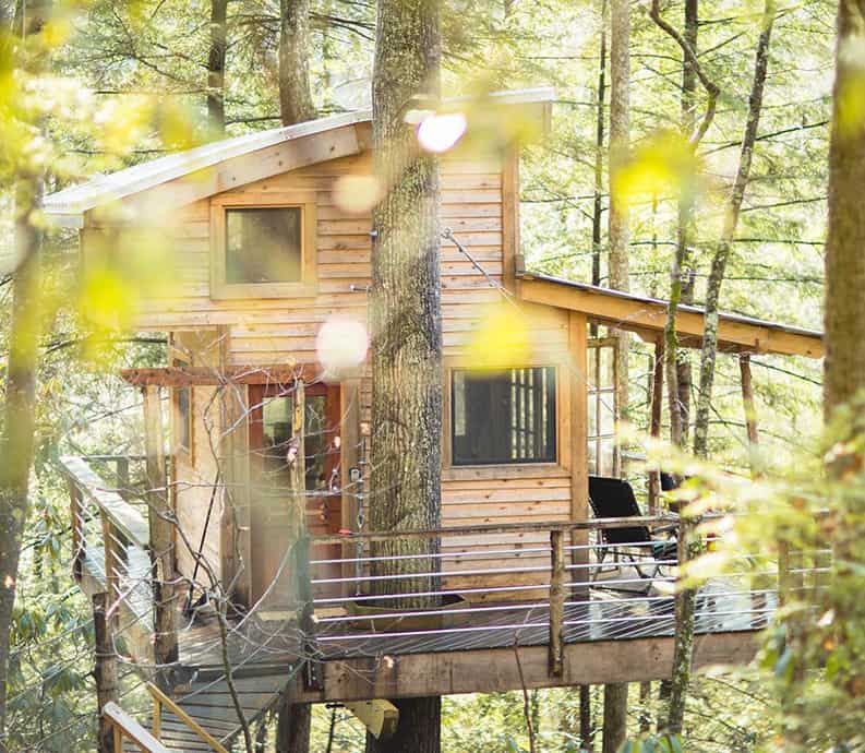 Casa del árbol Canopy Crew Sustentable