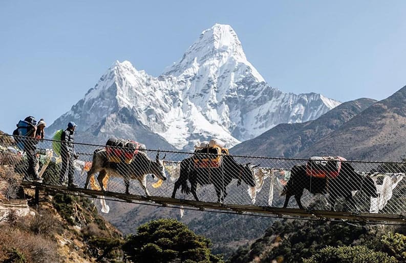 Monte Everest. Conocer la cima del mundo sin escalar.