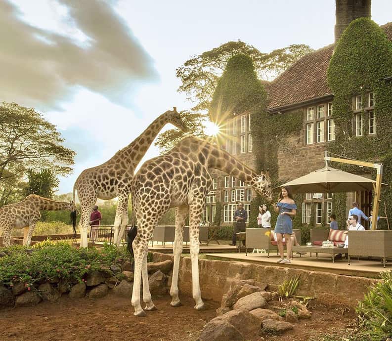 Giraffe Manor. El hotel de las Jirafas.