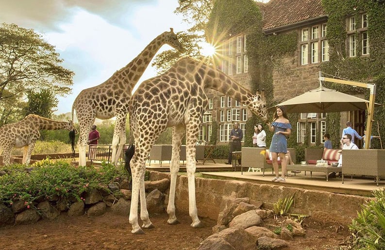 Giraffe Manor. El hotel de las Jirafas.