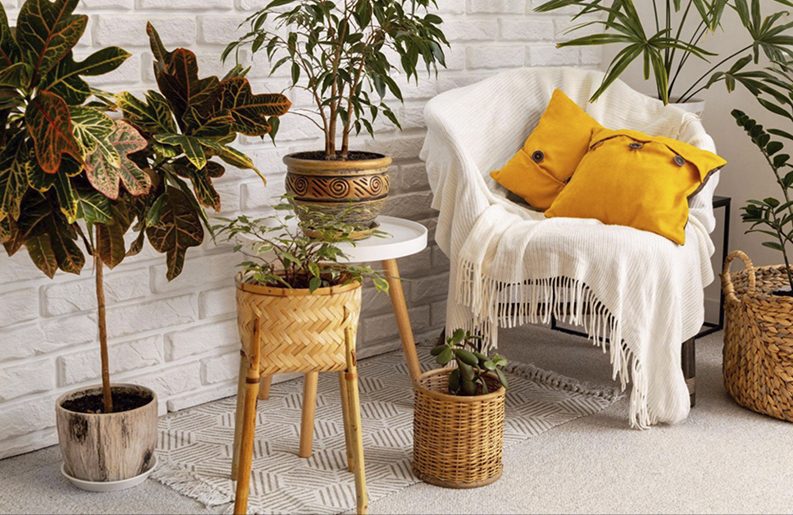 Formas económicas de redecorar tu apartamento