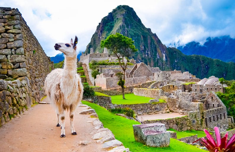 Machu Picchu